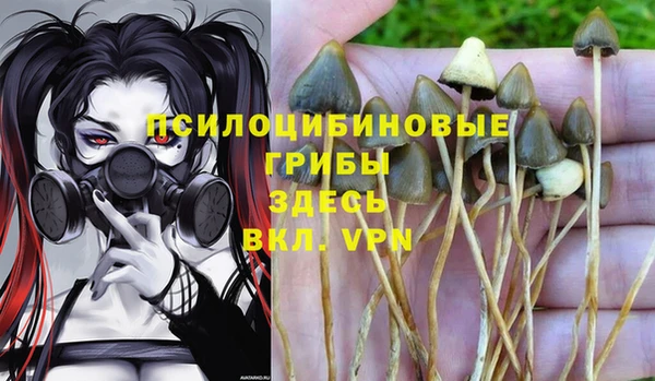мет Алзамай