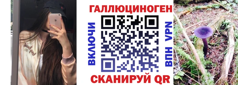 Галлюциногенные грибы Psilocybe  Алупка 