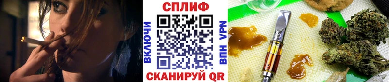 Каннабис планчик  сколько стоит  omg ТОР  Алупка 